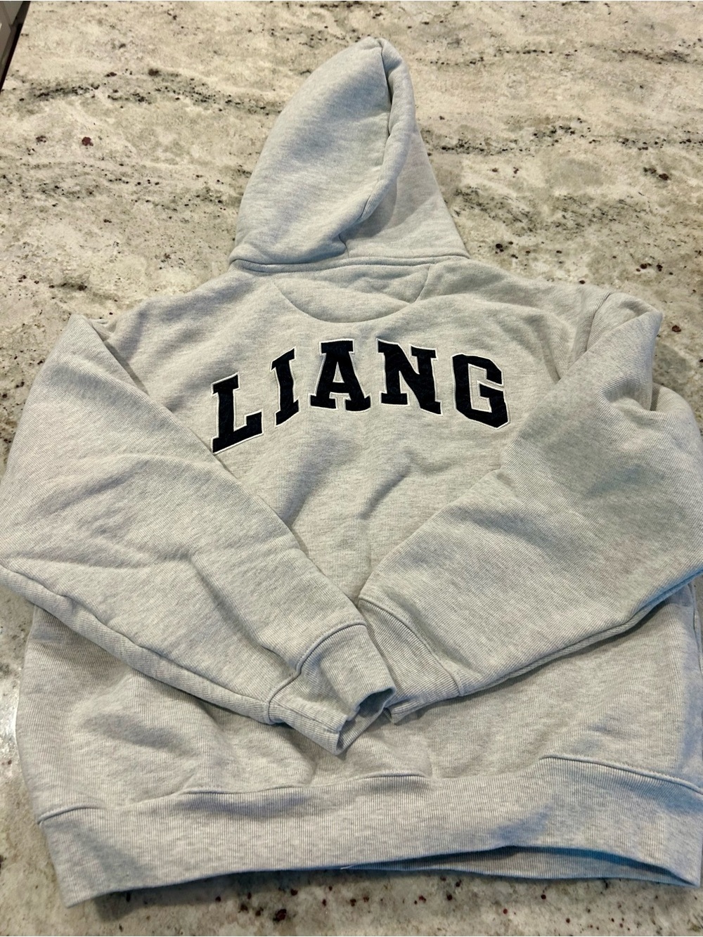 NEW Sandy Liang x Gap gray and navy hoodie size small- never worn! - Picture 2 of 3